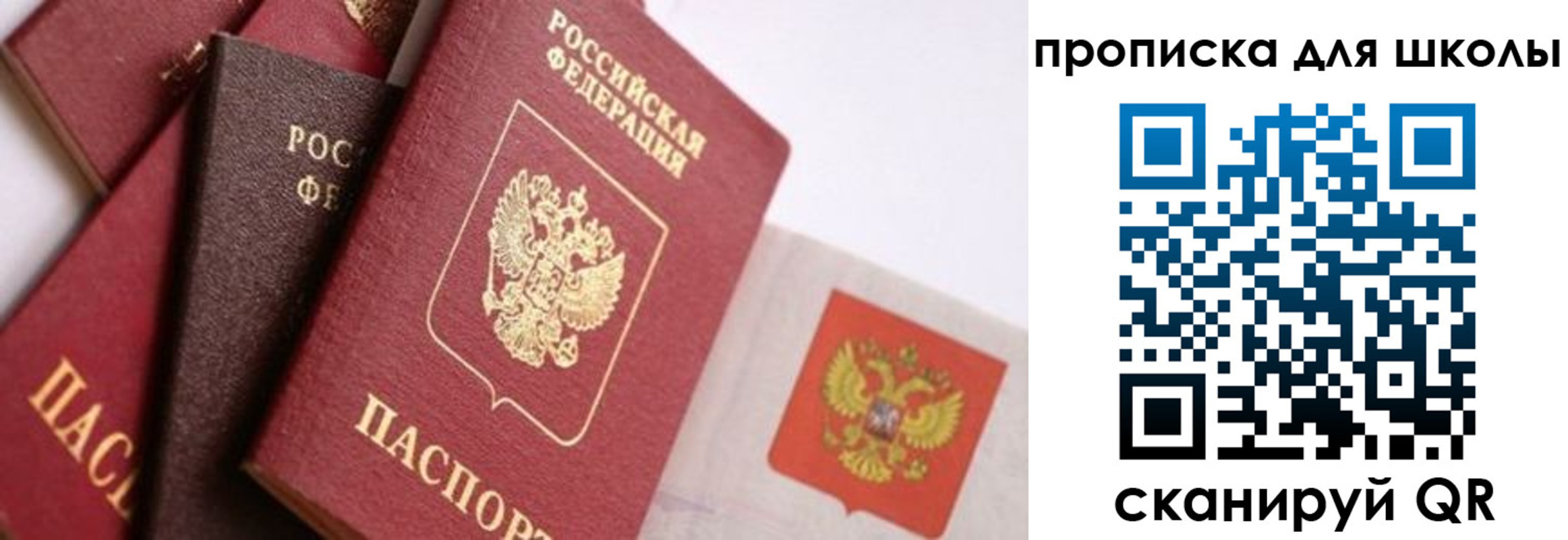 прописка поиск в Саранске